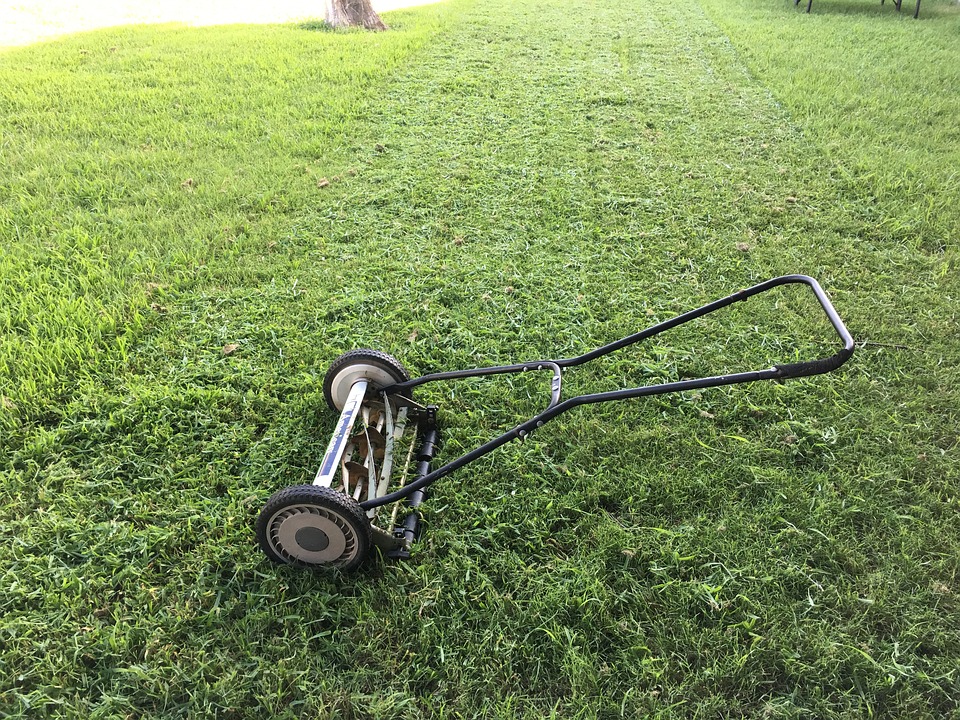 Electric Lawn Mower Buying Guide