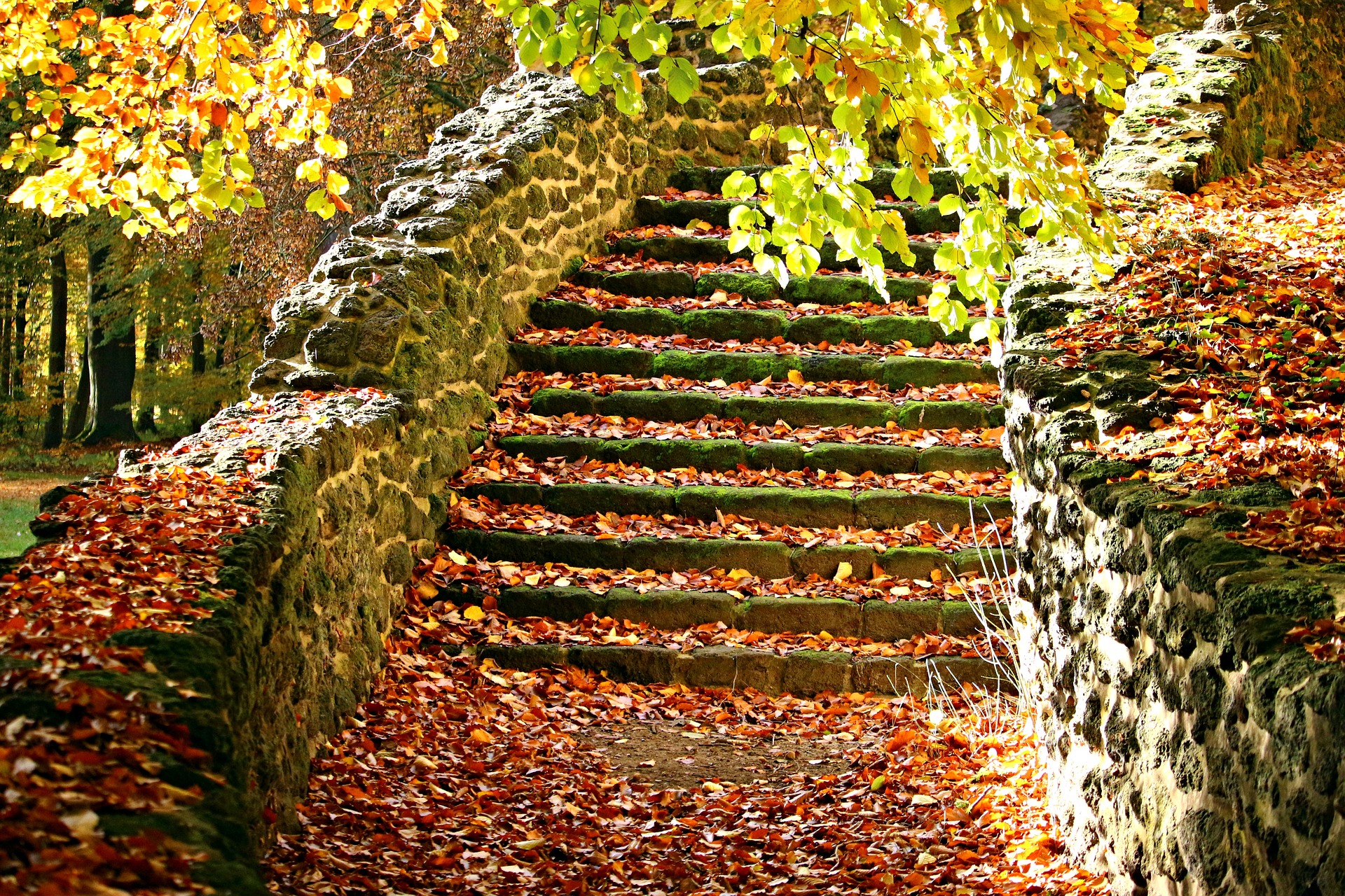 A Guide to Hiring Landscaping Companies