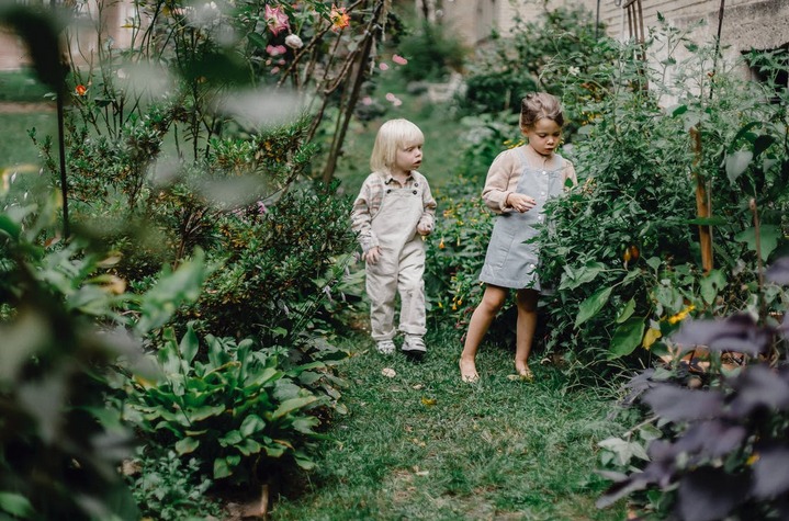 Reasons to Have a Home Garden
